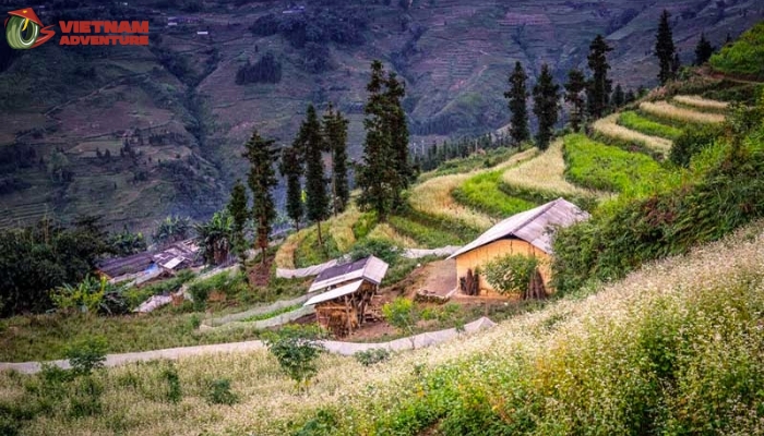 This village look like a poetic picture
