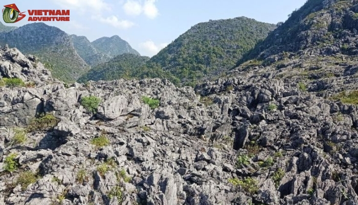 Majestic scene of the karst plateau