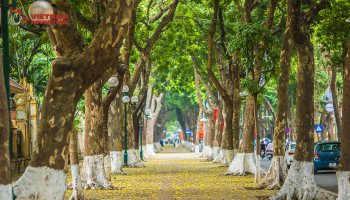 Hanoi boasts scenic routes that traverse picturesque countryside