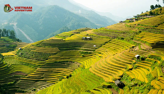 Looking for the ultimate summer adventure with Northwest Vietnam