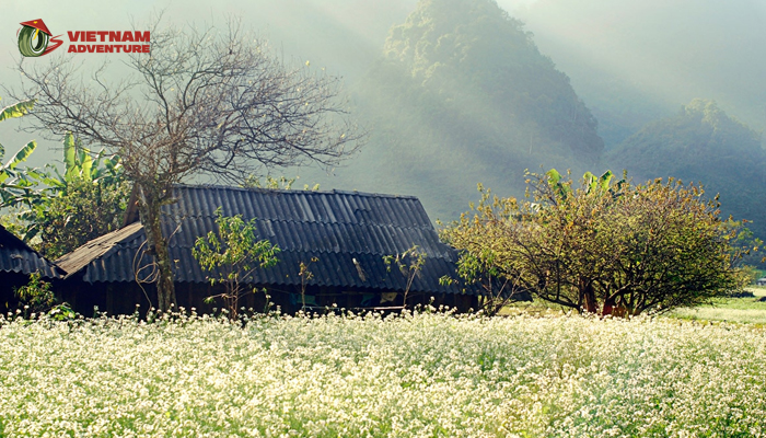The journey to Moc Chau promises an adventure filled with natural wonders and an unforgettable experience
