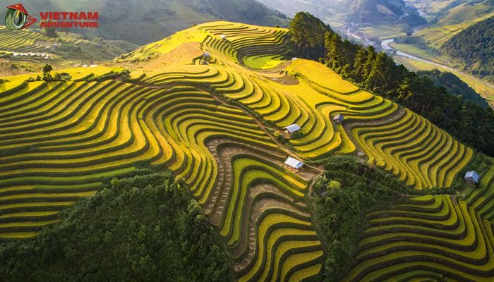 These motorbike travel instructions to Mu Cang Chai are designed to enchant motorbikers
