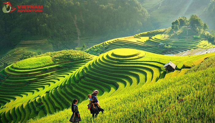 Traverse the rolling terrain of the terraced rice fields 