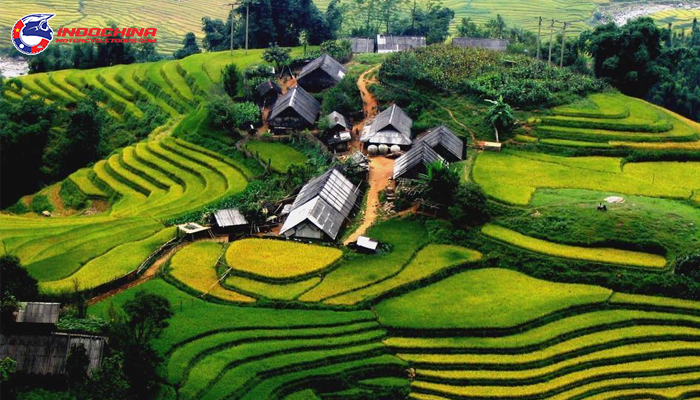 In August the rice fields are in full bloom and the terraced fields are covered with lush green