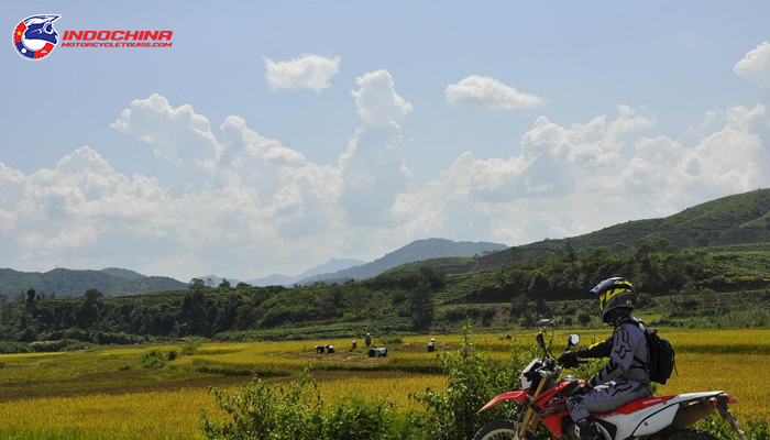 There are various choices available for buying motorbikes in Vietnam