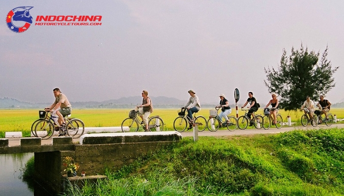 Cycling tour group pedaling through quaint villages and past lush tea plantations