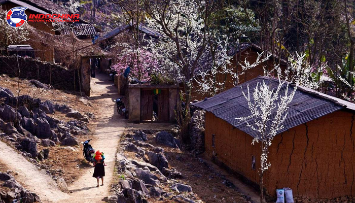 A corner of Pho Bang town with mud-walled houses