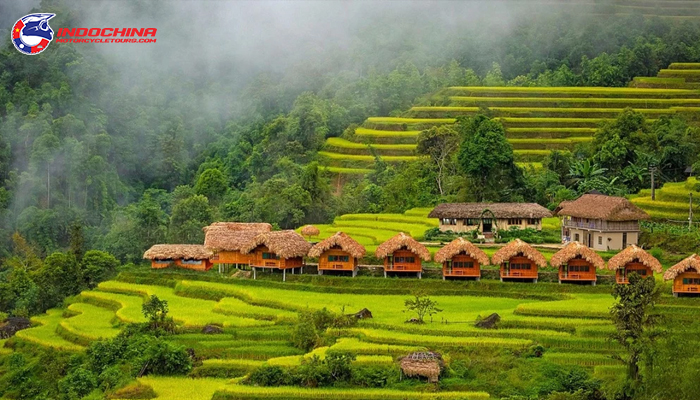 Marvel at the beauty of terraced fields in the ripe rice season