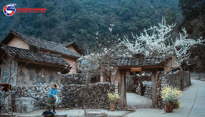 Pao’s house is loved by motorbike tourists because of its rare rustic and peaceful beauty