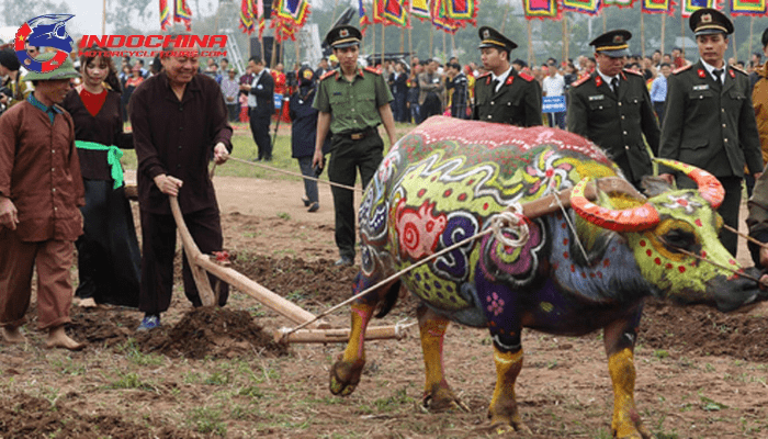 The Buffalo Sacrifice Festival is deeply rooted in the spiritual life of the ethnic minorities in Sapa