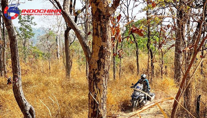 Navigate the rugged trails of Vietnam’s wilderness on an off-road motorcycle adventure tour