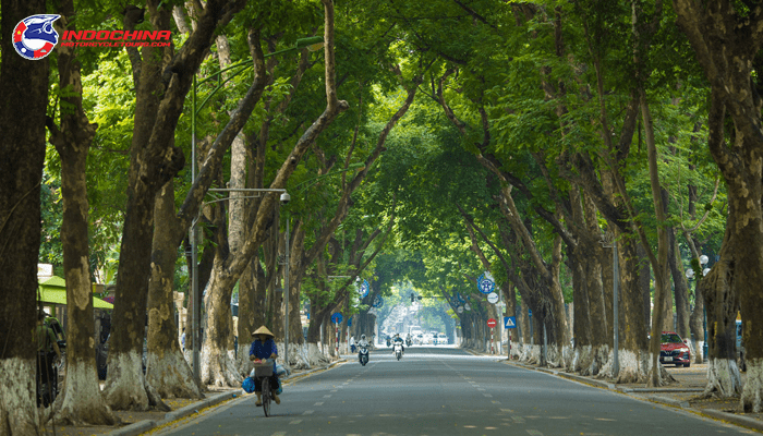 Wandering through the tranquil streets of Hanoi on your motorbike