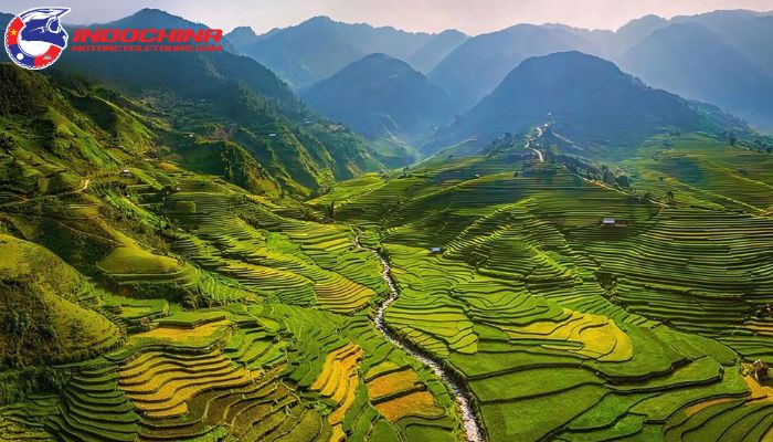 Breathtaking view of terraced fields in Northwest Vietnam, with sunlight casting a golden glow.