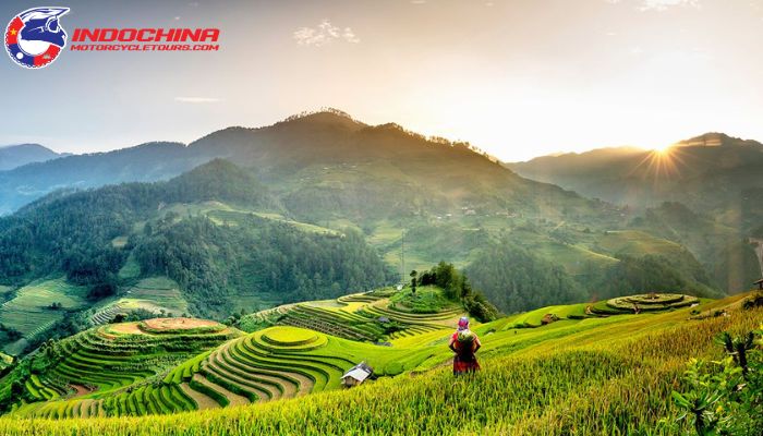 A person in traditional attire standing in lush, green terraced fields at sunrise in Northwest Vietnam