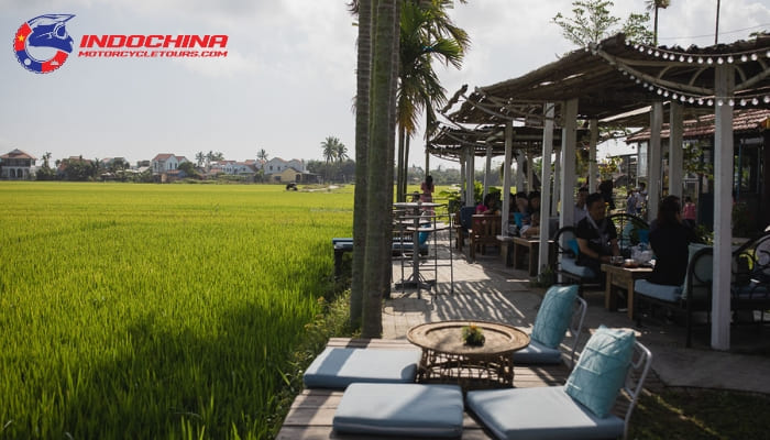 Paddy Field Restaurant