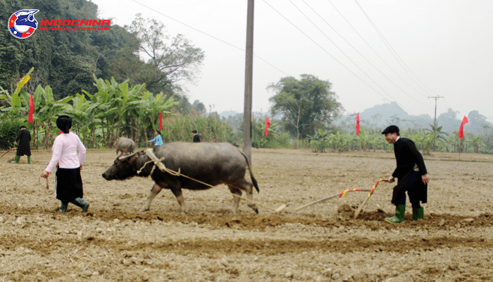 Tich Dien ceremony in Xuan Giang commune