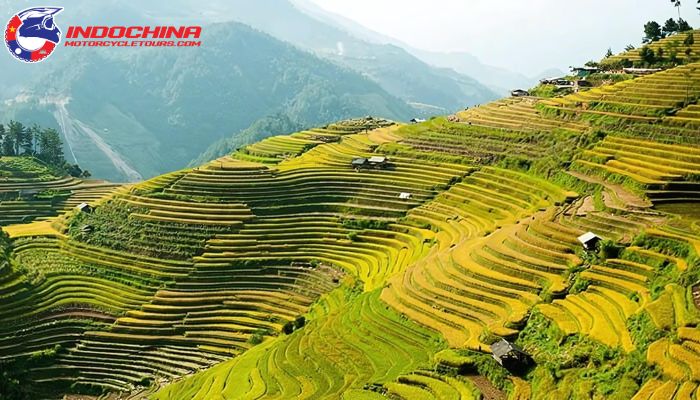 Overview of the terraced fields and mountains in Northwest Vietnam