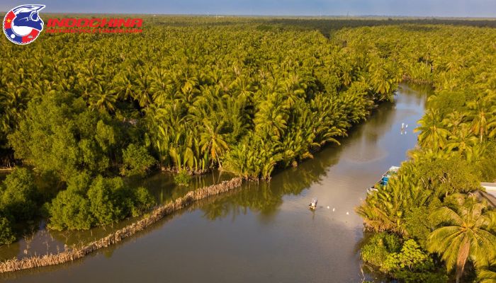 Visit Vietnam’s coconut hub