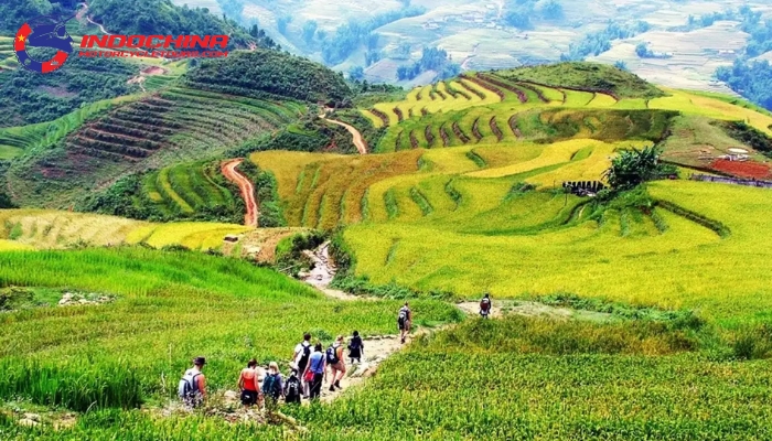 Discover authentic Black Hmong life in Sin Chai Village