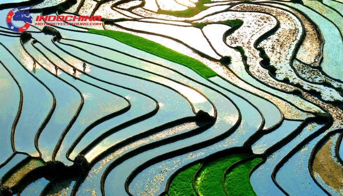 See the terraced fields come to life as water flows in for the new crops.