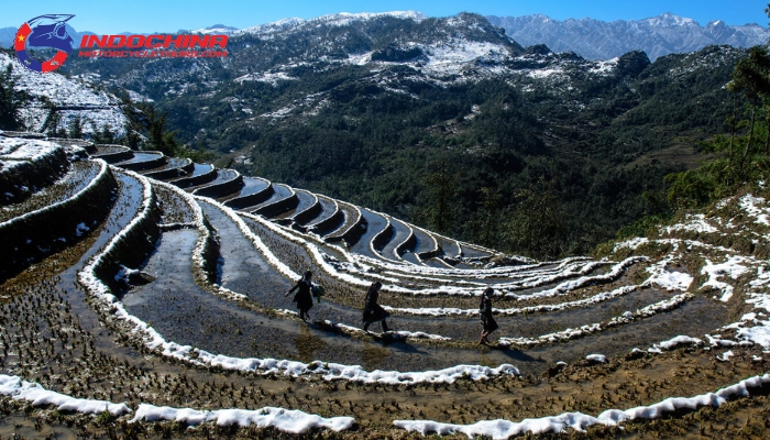 Embrace the magical chill of Sapa’s winter wonderland.