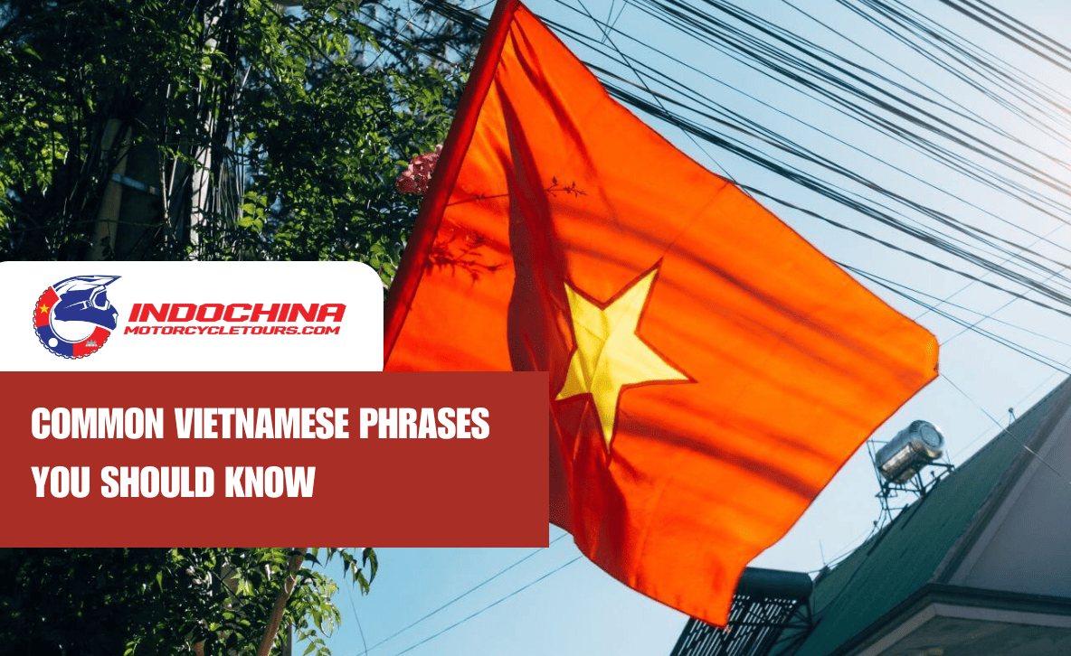 Common vietnamese phrases